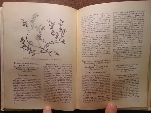 Заготовка дикорастущей продукции (пособие), издательство Ураджай, 1977 год, 240 страниц. Авторы: Коршиков Б. М., Митюков, фотография 8