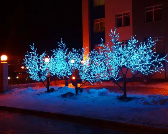 Для улицы, дома и ландшафта свет и радость для людей., фотография 2