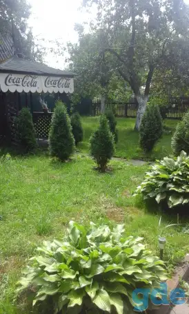 дача, терюха, фотография 8
