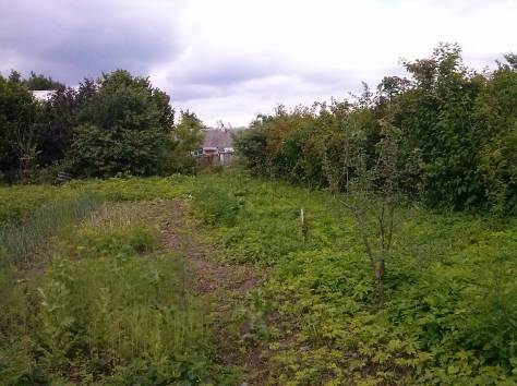 ДОМ В ЗАЛЕСЬЕ, Сморгонский Гродненская обл, фотография 6