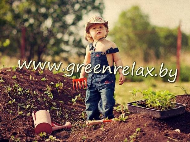Услуги садовника озеленителя, фотография 1