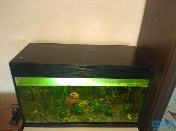 Продам аквариум на 140 л, фотография 1