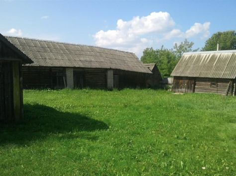 Дом Беларусь, Крупский район, д. Дубровка, фотография 2