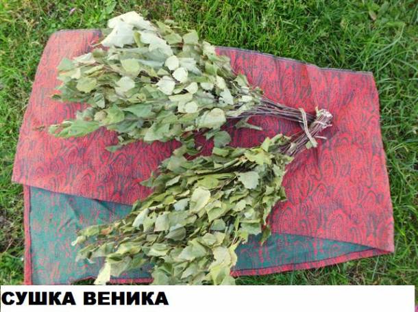 Веники БАННЫЕ, фотография 3