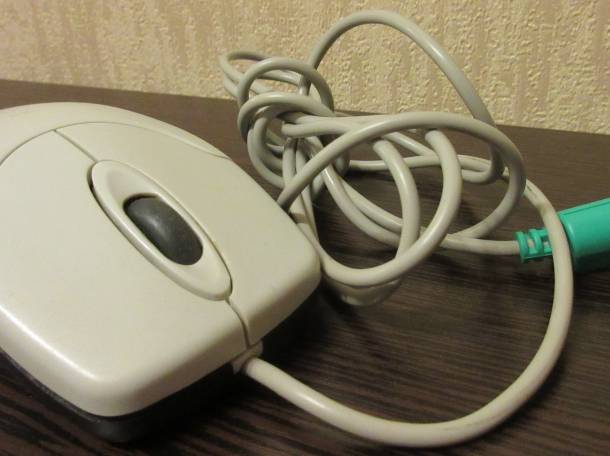 Мышь Genius NetScroll 120 PS/2, фотография 1