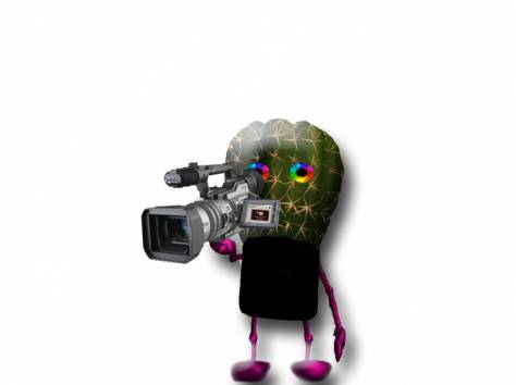 Видеосъёмка, фотография 1