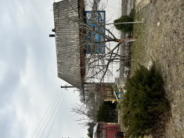 Продам дачу, Ситники, речицкий район, фотография 6
