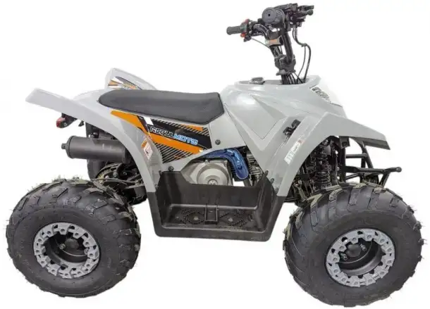 Квадроцикл Regulmoto SK11 (к-т з/ч), фотография 6