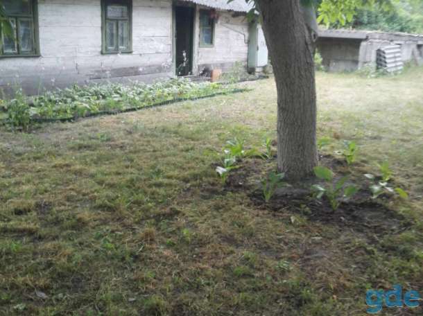 Участок Вычулки г. Брест, фотография 6