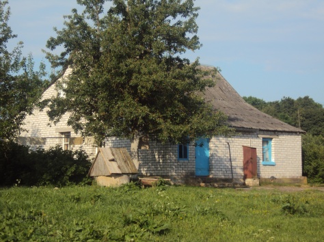 Дом в Браславском р-не, фотография 2