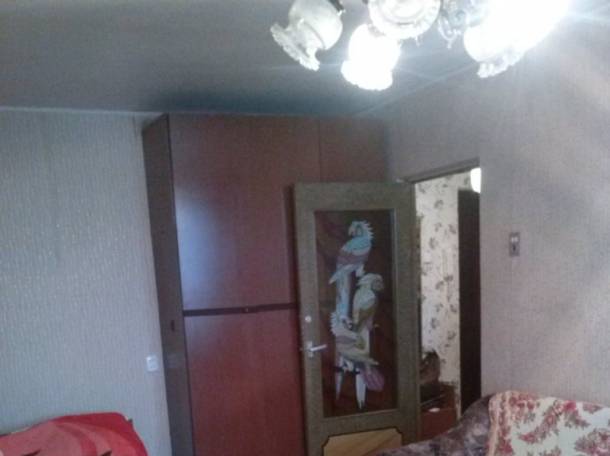 1ком квартиру, белецкого 32, фотография 2