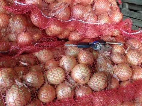 Картофель , фотография 3