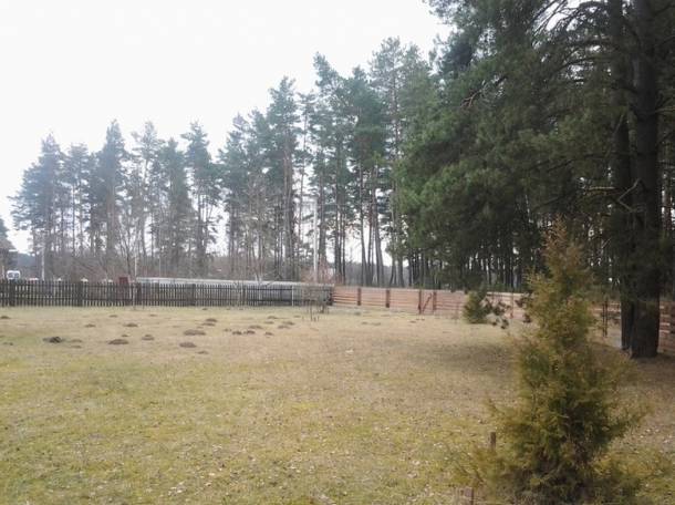 ПРОДАЁТСЯ ДОМ, д.Белая Гродненская область, фотография 6
