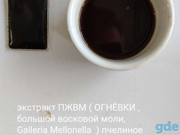 Огневка , ПЖВМ , пчелиное мумиё , мёд с экстрактом пчелиного мумиё., фотография 3