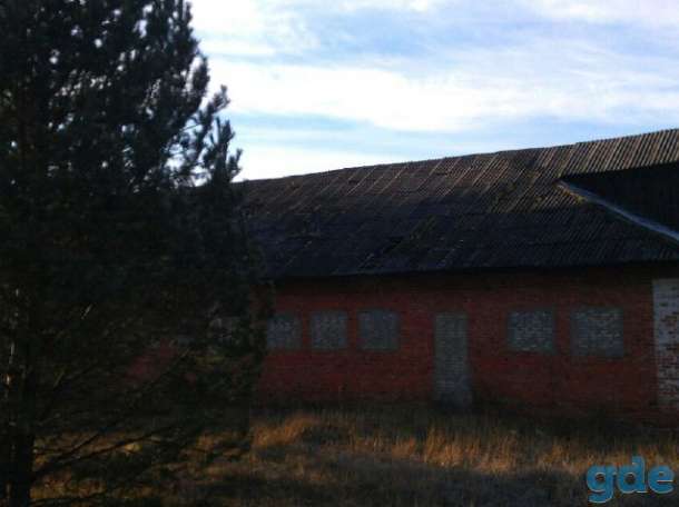 Производственные помещения, Гомельская обл. р-н, д. Мышанка, фотография 4