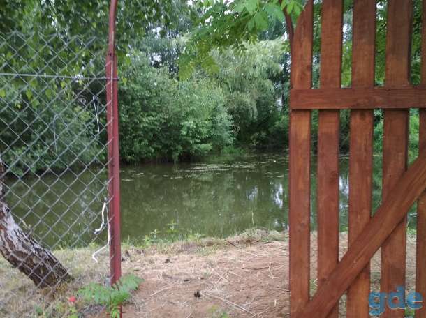 Отдых на природе, фотография 3