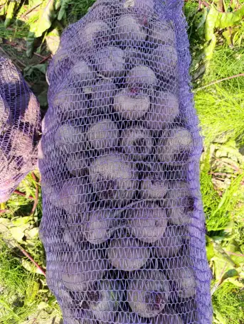 Реализуем продукцию собственного производства свекла, фотография 4