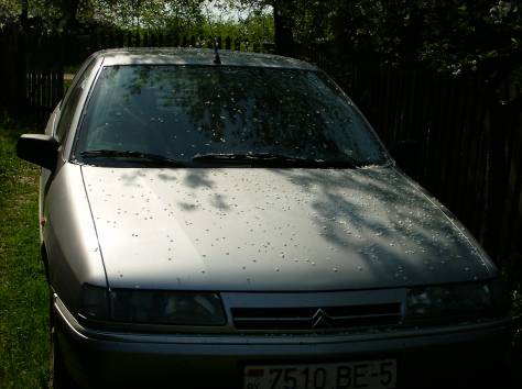 Ситроен-ксантия Citroen, фотография 1