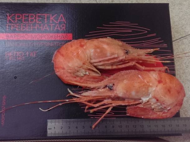 Креветки в Минске, фотография 2