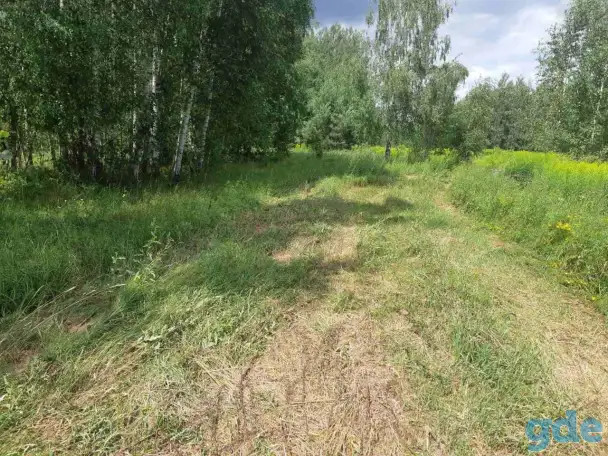 Ветхий дом, д. Светлица, ул. Октябрьская, д. 15, фотография 5
