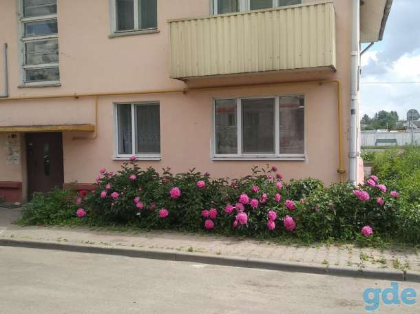 Квартира около рынка., фотография 4