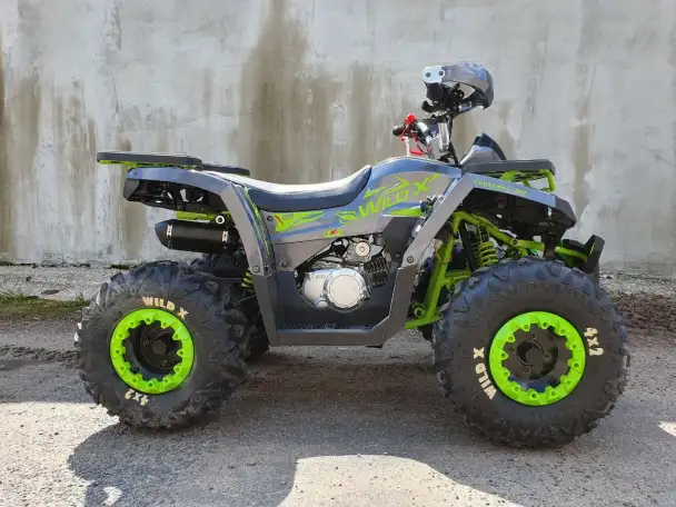 Квадроцикл Motoland Wild X 125cc, фотография 4