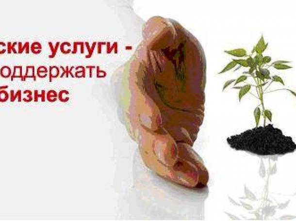 Ведение бухгалтерского учета для ИП,ООО, ЧУП, фотография 1