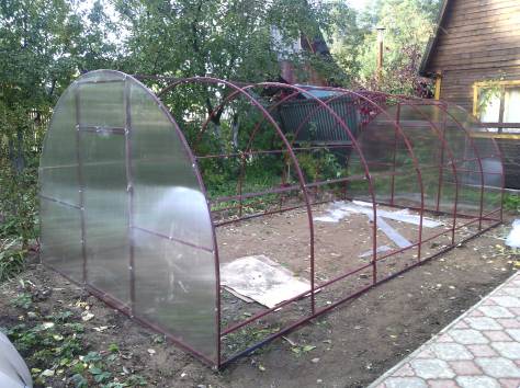 Теплица, фотография 3