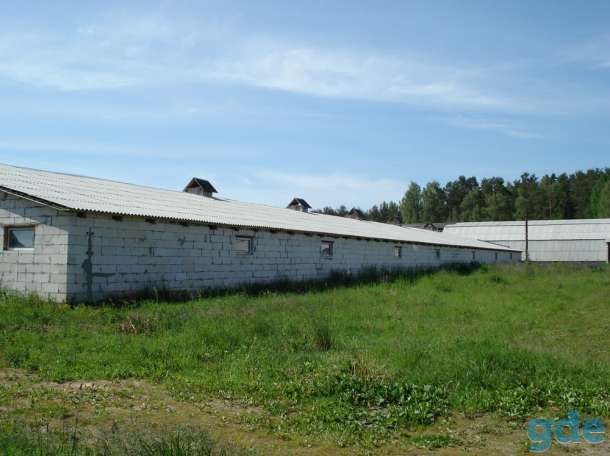 Здание 1200 м2., фотография 4