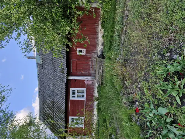 Продается дом в Налибокской пуще, Столбцовский р-н, д.Деражное, фотография 2