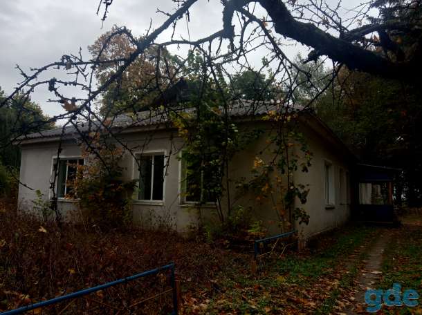 Продажа (аренда) недвижимого имущества, Вязынь, Вилейский район., фотография 2