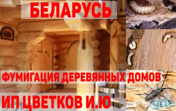 Фумигация деревянных домов, дач, построек, мебели в Беларуси!, фотография 1