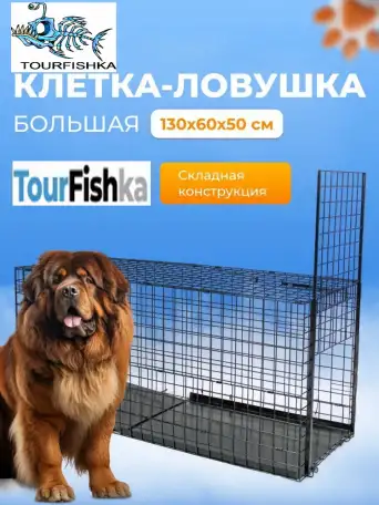 Собаколовка клетка ловушка напрокат в Минске, фотография 1