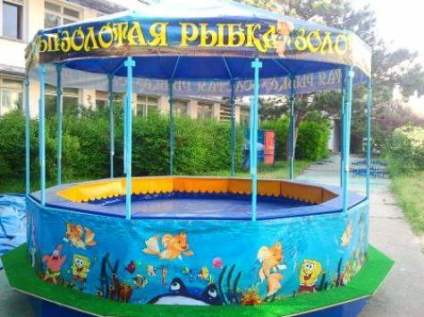 Аттракцион Рыбалочка Золотая рыбка , фотография 2