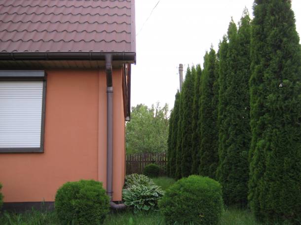 Загородный дом на приватизированном дачном участке, фотография 3