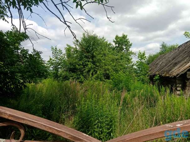 Покос травы, фотография 8