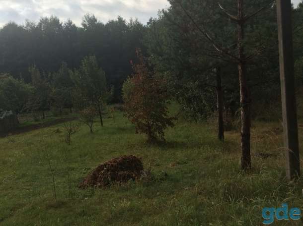 Продам, Деревня Торчицы. Садовое товарищество Мечта лесная., фотография 2