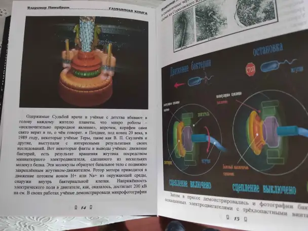 ГЛУБИННАЯ КНИГА. Владимир Пятибрат ПОЛНАЯ ВЕРСИЯ, фотография 3
