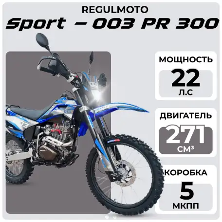 Мотоцикл Regulmoto Sport-003 PR 300, фотография 1
