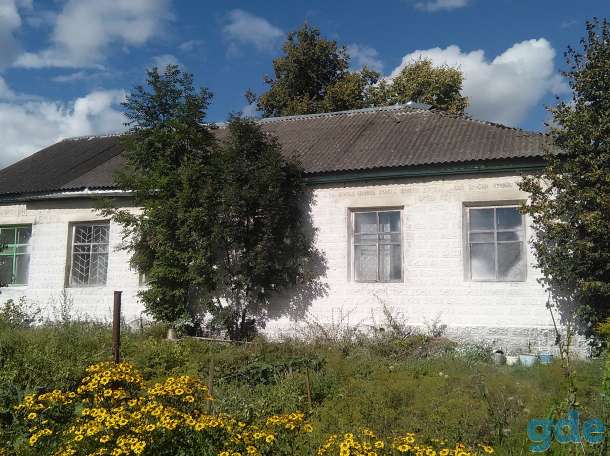 Продажа магазина  Езерищенское сельпо, фотография 6