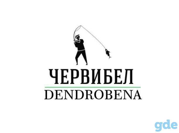 Коконы червя Дендробена (1000шт), фотография 3