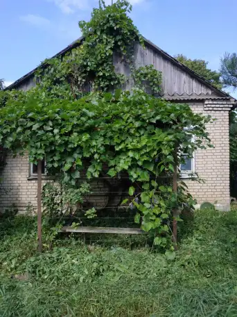 Продаю дом с участком, д.Тычинки ул. Центральная д.11, фотография 5