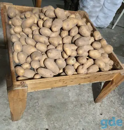 Картофель, фотография 3