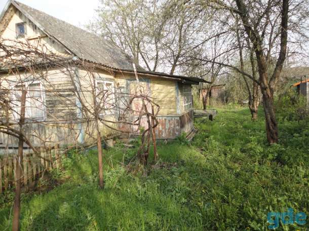 Дача не далеко от Бреста, Беларусь, область, район, СТ Здоровье-2008, фотография 4