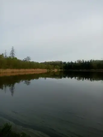 Уютный Домик, Полевая 6, посёлок Альба, Несвижского района, фотография 5
