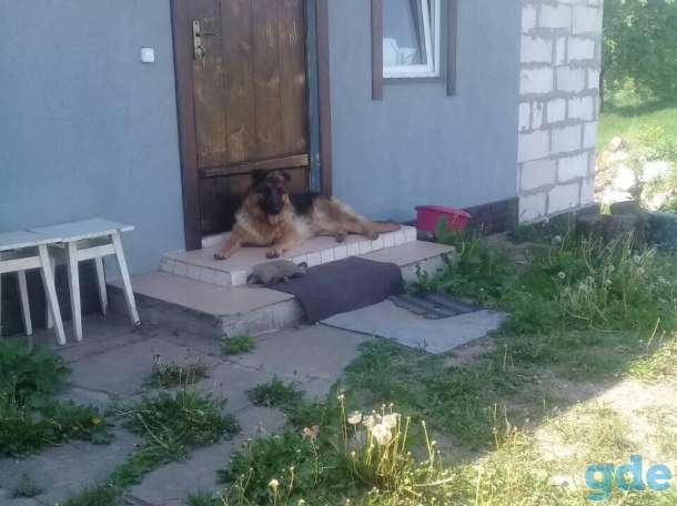 Продам участок с постройками, Переулок  Байкальский, фотография 5