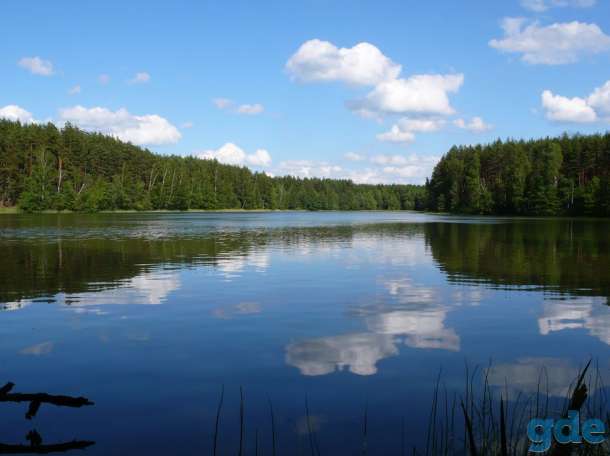 Отдых Браславские озёра, фотография 10
