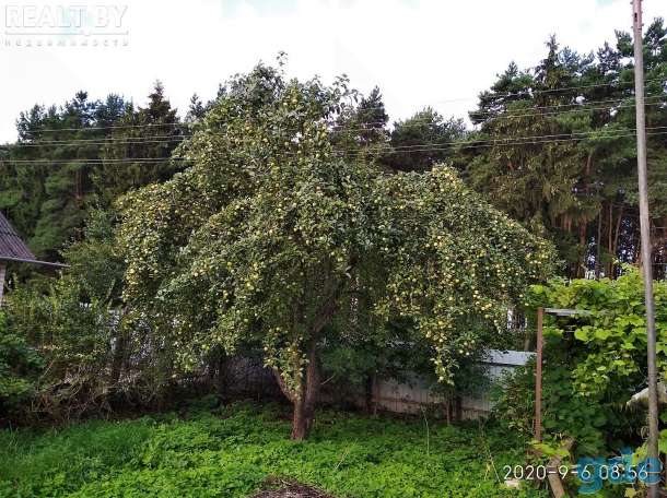 Продаётся дом г. Орша в хорошем райне, фотография 8