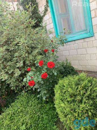 Продается дача, СТ Мичуринец, фотография 11