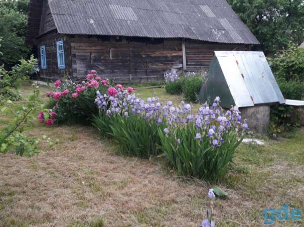Участок в Гродненском районе, Головничи, Гродненский район, фотография 2